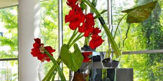 fournisseur de plantes artificielles bordeaux Vente et location de fleurs et plantes artificielles - Deco Sens