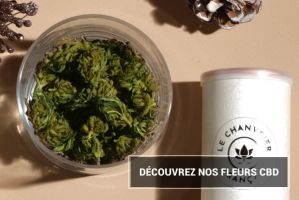 magasin de cannabis rennes Le Chanvrier Français - CBD Rennes
